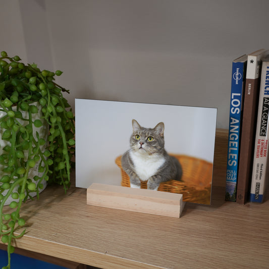 Metal Print – Postcard