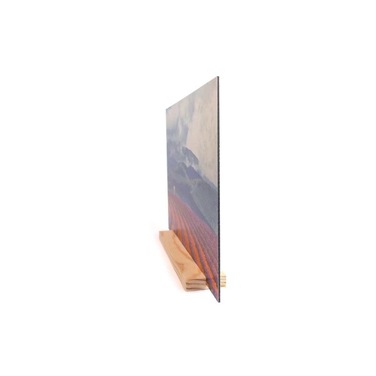 Metal Print – Signature